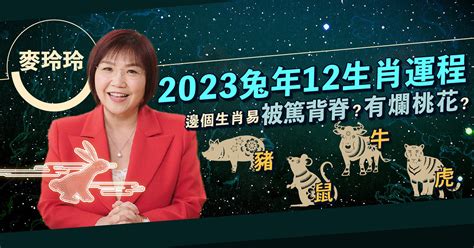 麥玲玲 2023 風水佈局|麥玲玲2023兔年運程｜九宮飛星方位、家居風水解碼